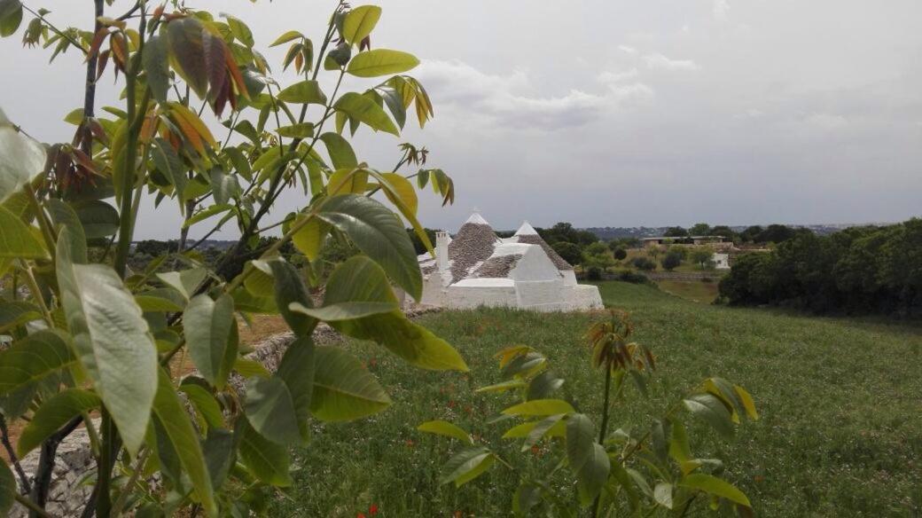 Borgo Trulli 1789 Bed & Breakfast Ostuni Exterior photo